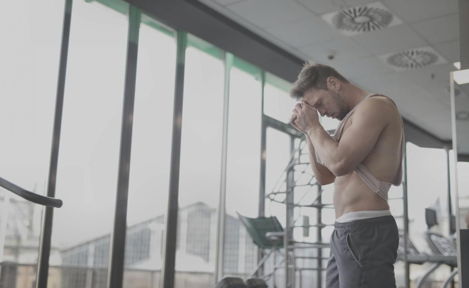 Przegląd modułów programu wellness na platformie naturaldwellers